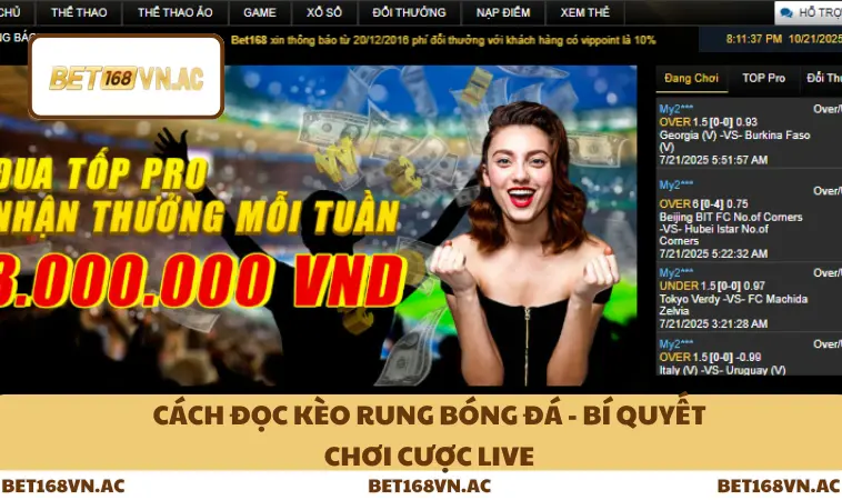 Cách Đọc Kèo Rung Bóng Đá - Bí Quyết Chơi Cược Live 13 Cách Đọc Kèo Rung Bóng Đá - Bí Quyết Chơi Cược Live