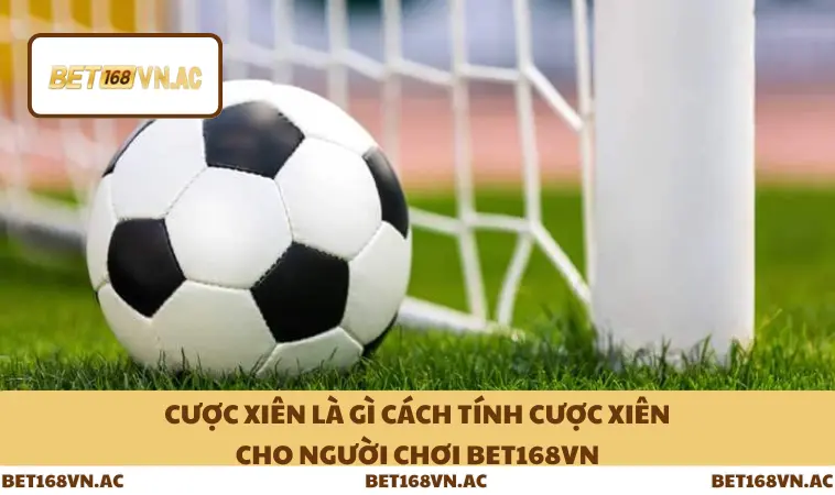 Cược Xiên Là Gì Cách Tính Cược Xiên Cho Người Chơi Bet168Vn 11 Cược Xiên Là Gì Cách Tính Cược Xiên Cho Người Chơi Bet168Vn